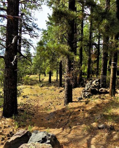 Location! Nature Lovers Getaway - Close To Historic Downtown