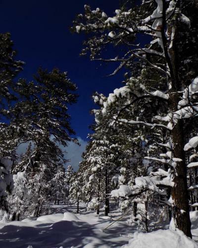 Location! Nature Lovers Getaway - Close To Historic Downtown