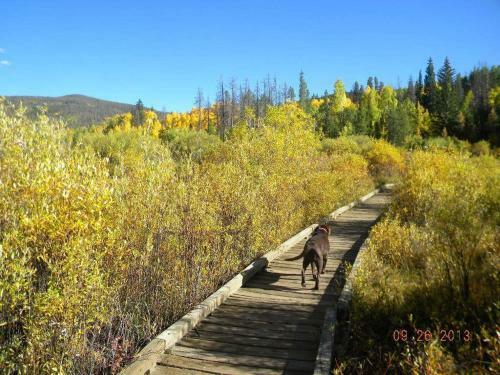 Apartamento 315 Woodbridge Condo