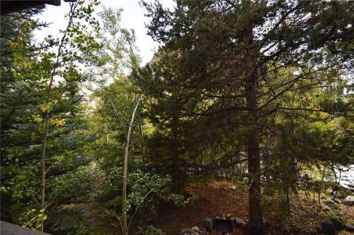 Cross Creek 308 (condo)