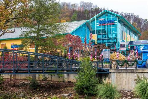 Bearadise, 1 Bedroom, Pool Table, Wifi, Hot Tub, Sleeps 2