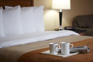 Hotel Comfort Inn South