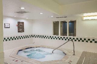 Hotel Comfort Suites Lewisville