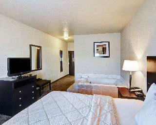 Hotel Comfort Inn Terrell