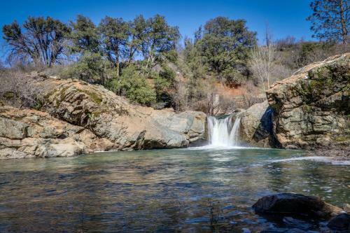 Serenity In The Trees (02-169)