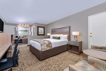 Hotel Best Western Plus Anaheim Inn