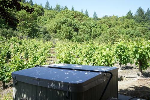 Dry Creek Villa
