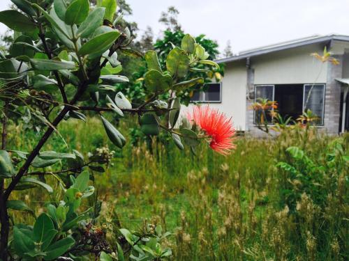 Bed & Breakfast Kaumana Caves Inn
