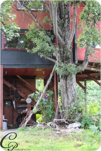 Lodge Cottonwood Cabins