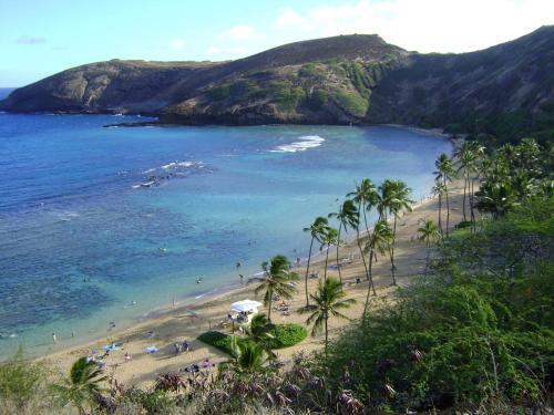 Apartamento Kuhio Village Condominium 1005a