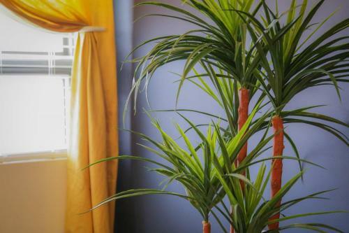 Apartamento Urban Deco 1br Apt In Historic Lockerbie District