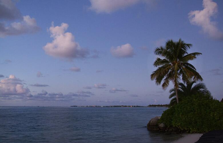 Hotel Pier House Resort And Caribbean Spa
