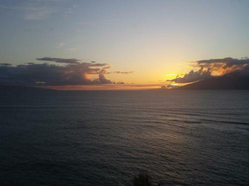 Royal Kahana 912
