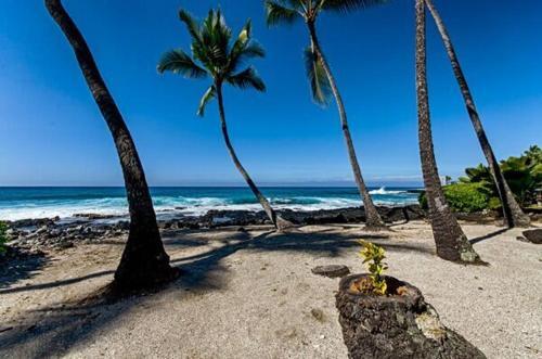 Villa Kona Nalu 203