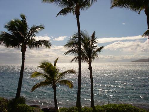 Apartamento Islander On The Beach Unit 244