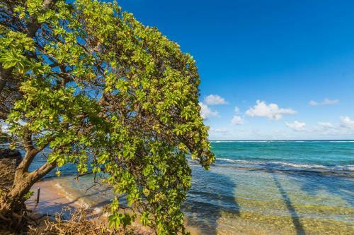 Apartamento (kk211-s) Kauai Kailani, Studio