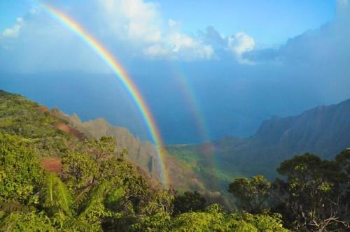 Apartamento Islander On The Beach 352 Condo