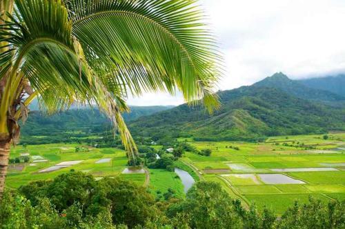 Apartamento Waipouli Beach Resort E106 Condo