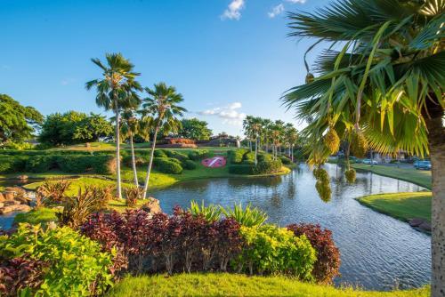 Coconut Plantation 1086-1