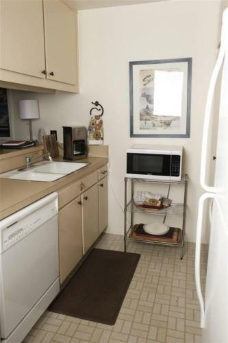 Sun Valley Condo 132