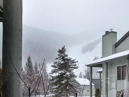 Greyhawk At The Ski Lifts -the Artisan