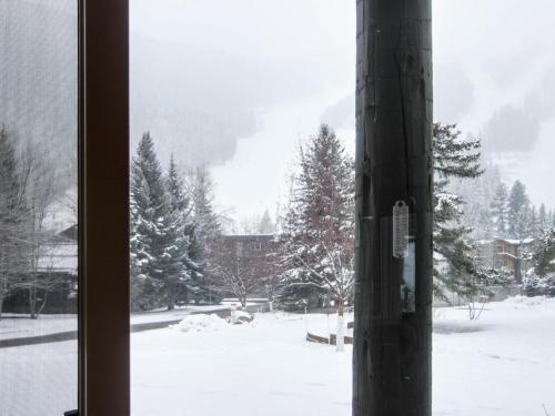 Greyhawk At The Ski Lifts -the Artisan