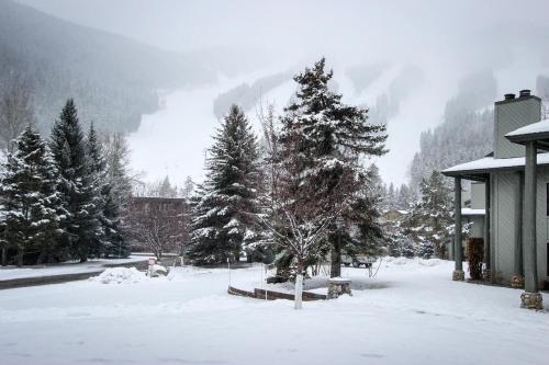 Greyhawk At The Ski Lifts -the Artisan