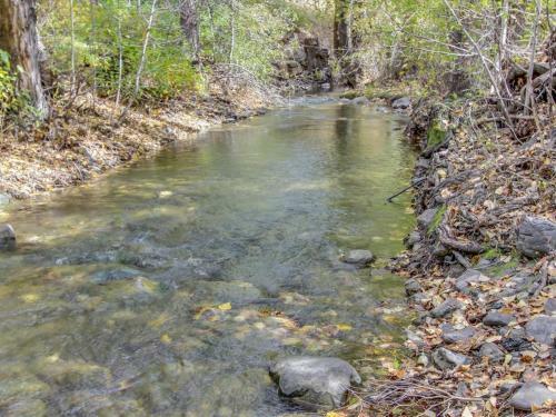 Bridgepoint Condo On Trail Creek