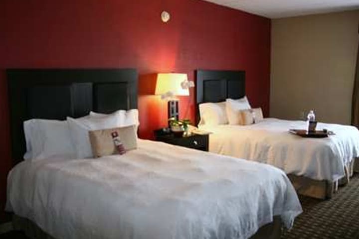 Hotel Hampton Inn & Suites Houston Clear Lake-nasa