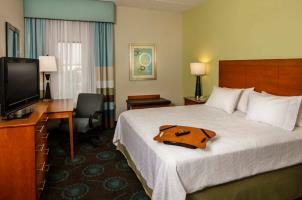 Hotel Hampton Inn & Suites Houston-medical Ctr-reliant Park