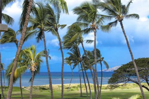 Apartamento Kauhale Makai 331 Condo