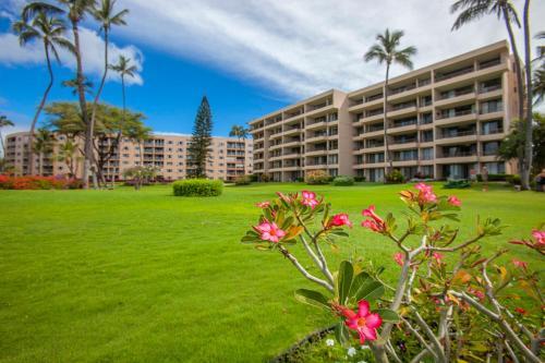 Apartamento Koa Lagoon #505 Condo
