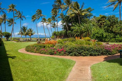 Apartamento Waiohuli Beach Hale #d-220 Condo