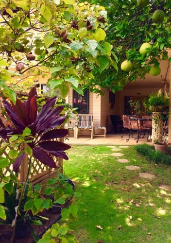 Apartamentos Nona Lani Cottages