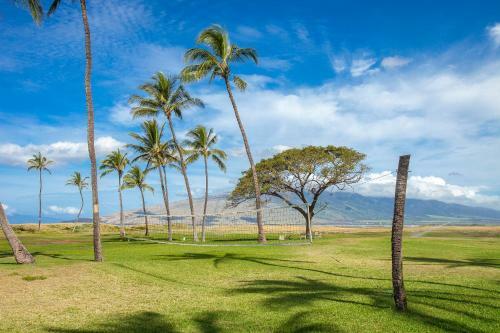 Apartamento Kauhale Makai #330 Condo