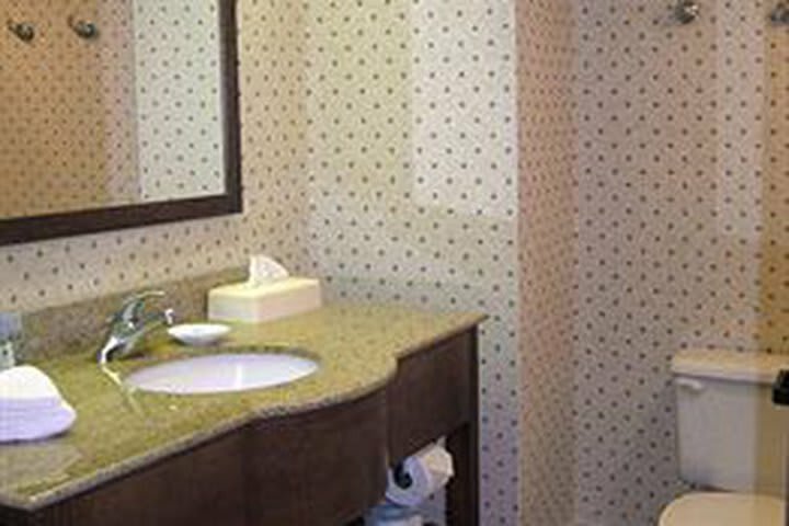 Hotel Hampton Inn Cincinnati/kings Island