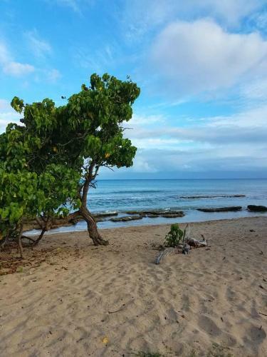 Apartamento Lahaina Luxury Condos