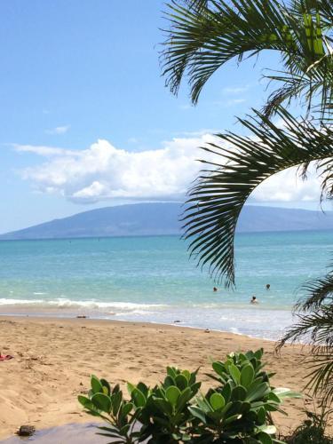 Apartamento Valley Isle Beach Front Resort