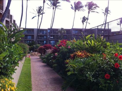 Apartamento Hale Ono Loa 409 Condo