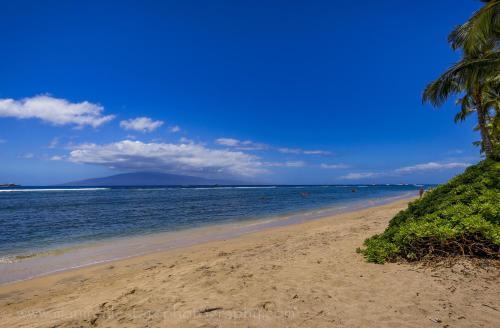 Apartamento Lahaina Shores #434