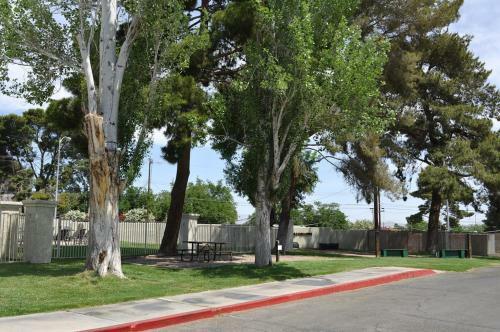 Las Vegas Camping Resort Cabin 3