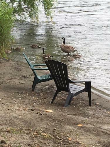 Motel River's Edge Lodge