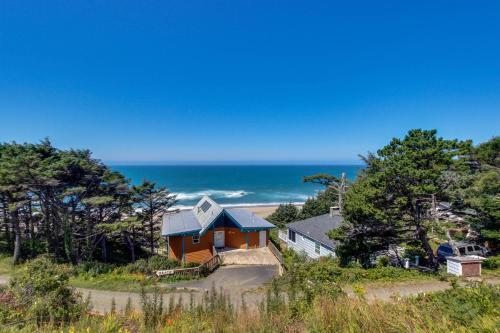 Dolphin D-2