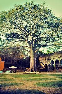 Hotel Hacienda Uayamon