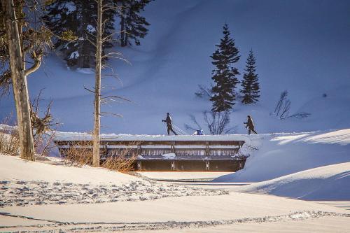 Snowcreek 264