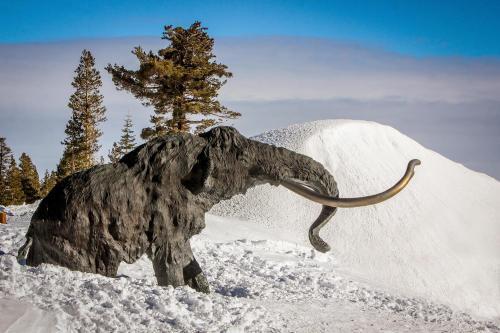 Mammoth Green Condos