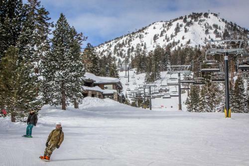 Mammoth Green Condos