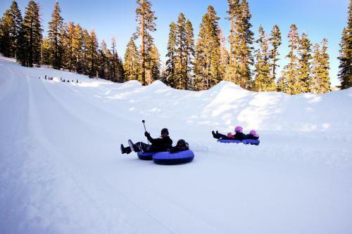 Mammoth Green Condos
