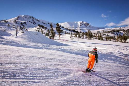 Aspen Creek 229