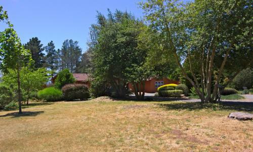 Mendocino Magic